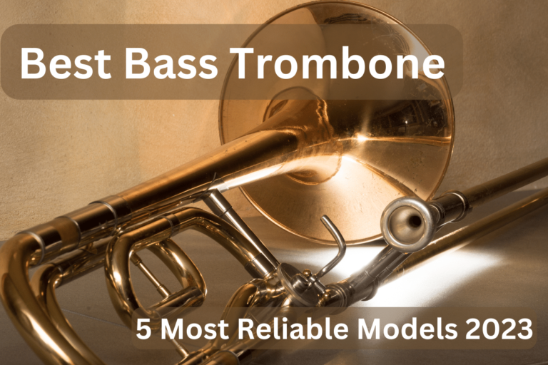 Best Bass Trombone: 5 Most Reliable Models 2023