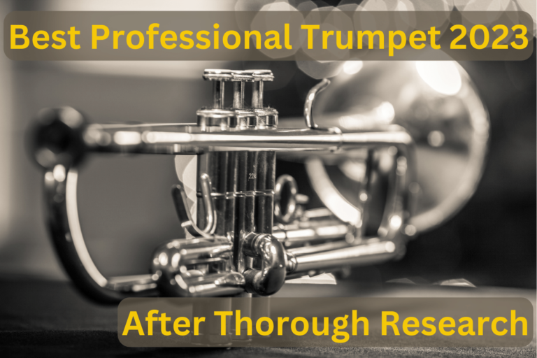 Best Professional Trumpet 2023: After Thorough Research