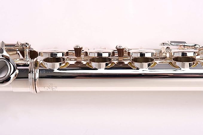 Herche M2 Beginner Flute