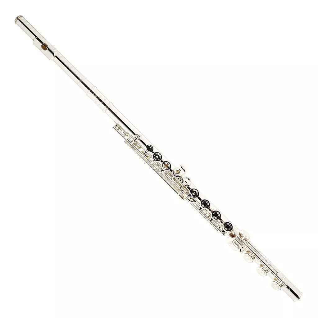 Azumi AZ3 Professional Flutes