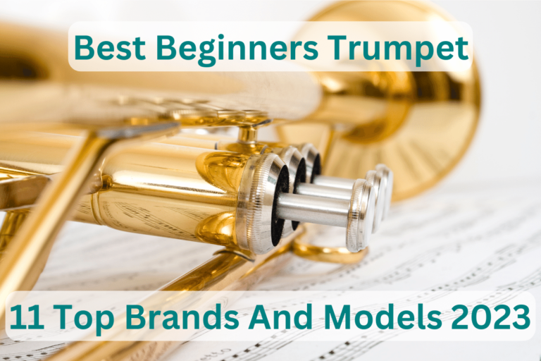 Best Beginners Trumpet: 11 Top Brands And Models 2023