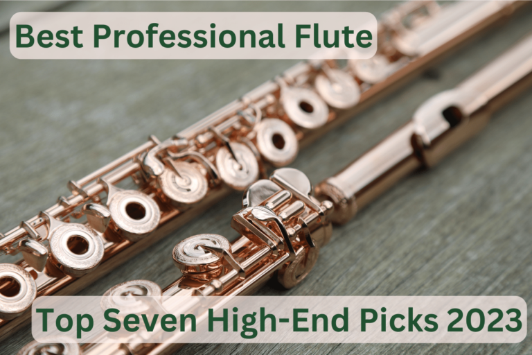 Best Professional Flute 🎶 Top Seven High-End Picks 2023