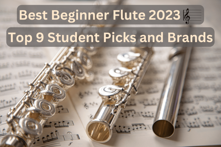 Best Beginner Flute 2023 🎼 Top 9 Student Picks and Brands