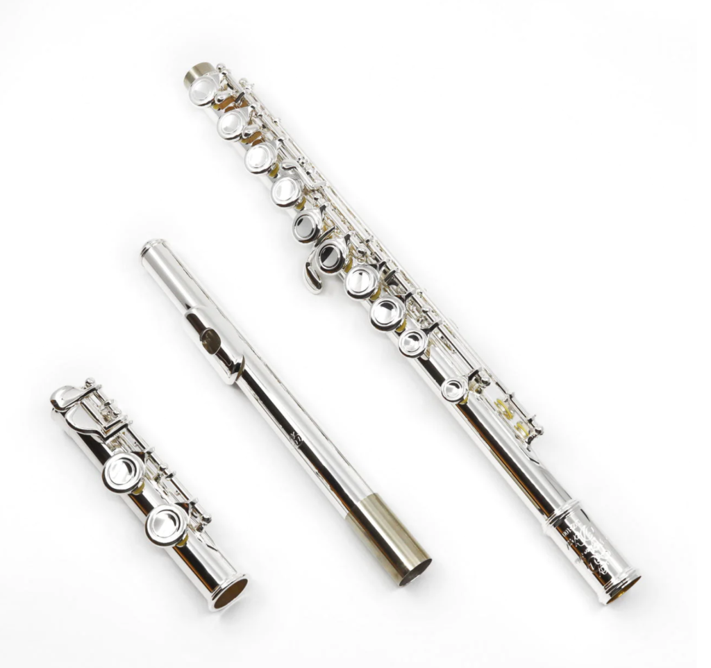Di Zhao Flutes DZ 100 Student Flute Best Beginner Flute
