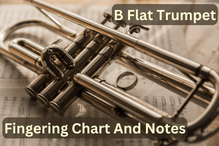 B Flat Trumpet Fingering Chart And Notes: Download Now