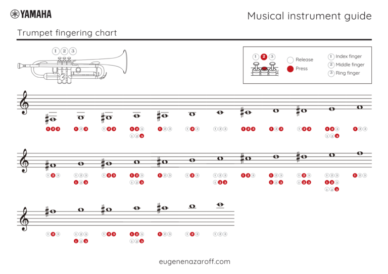 B Flat Trumpet Fingering Chart And Notes: Download Now