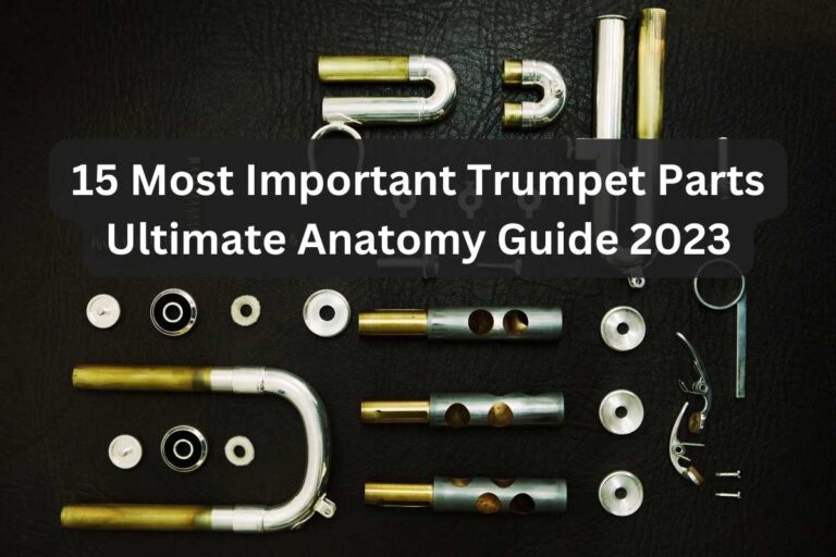 15 Most Important Trumpet Parts | Ultimate Anatomy Guide 2023