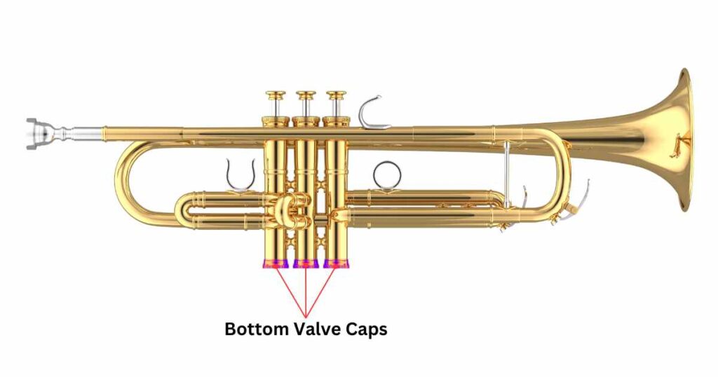 Bottom Valve Caps