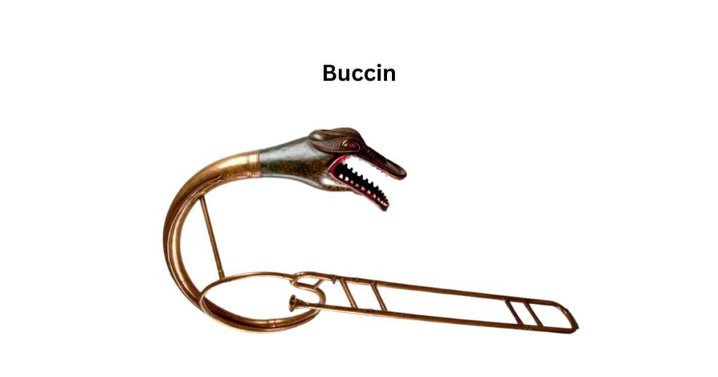 Buccin