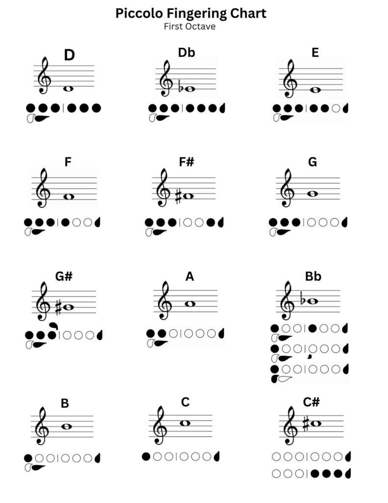 Flute Fingering Chart PDF: Best Beginner's Guide 2023
