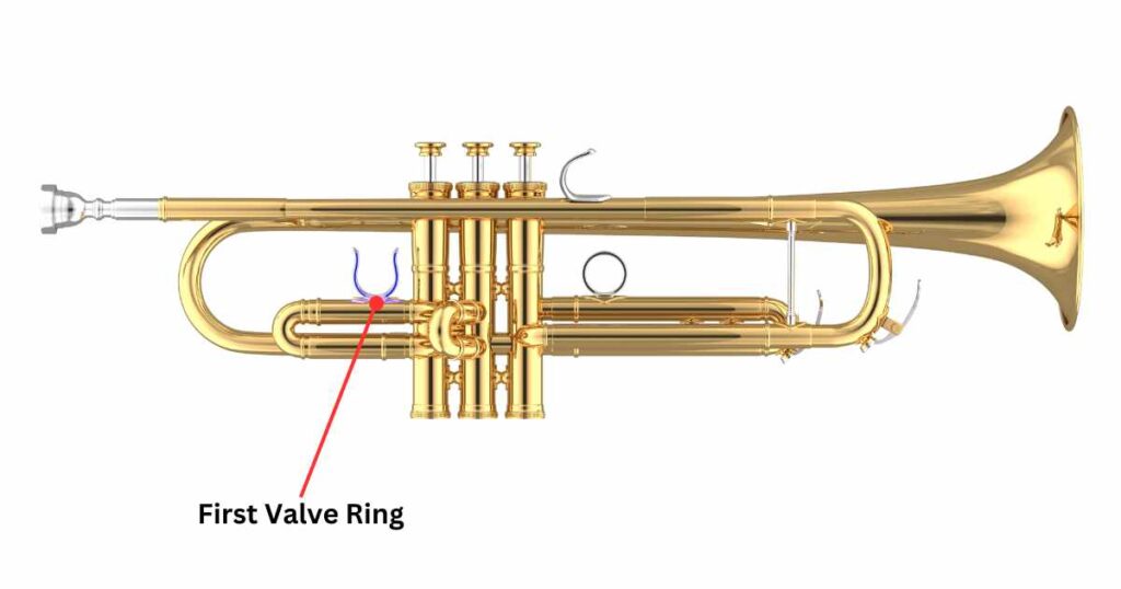 First Valve Ring