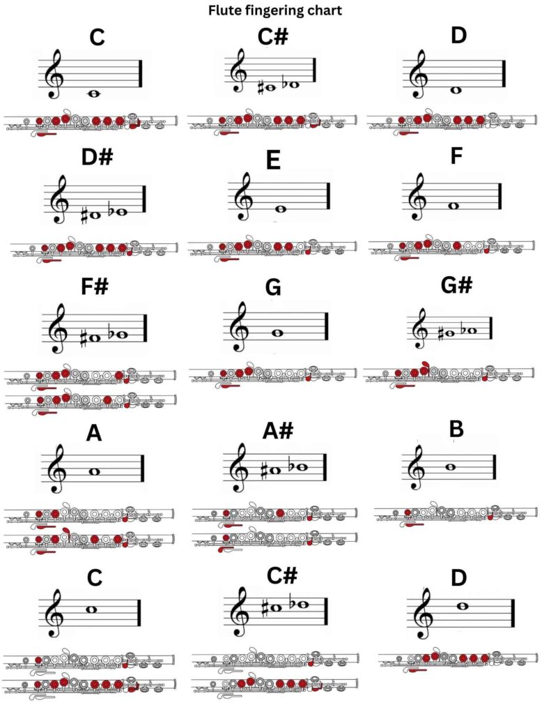  C flute fingering chart in PDF 1