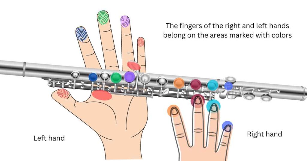 How to hold a flute properly