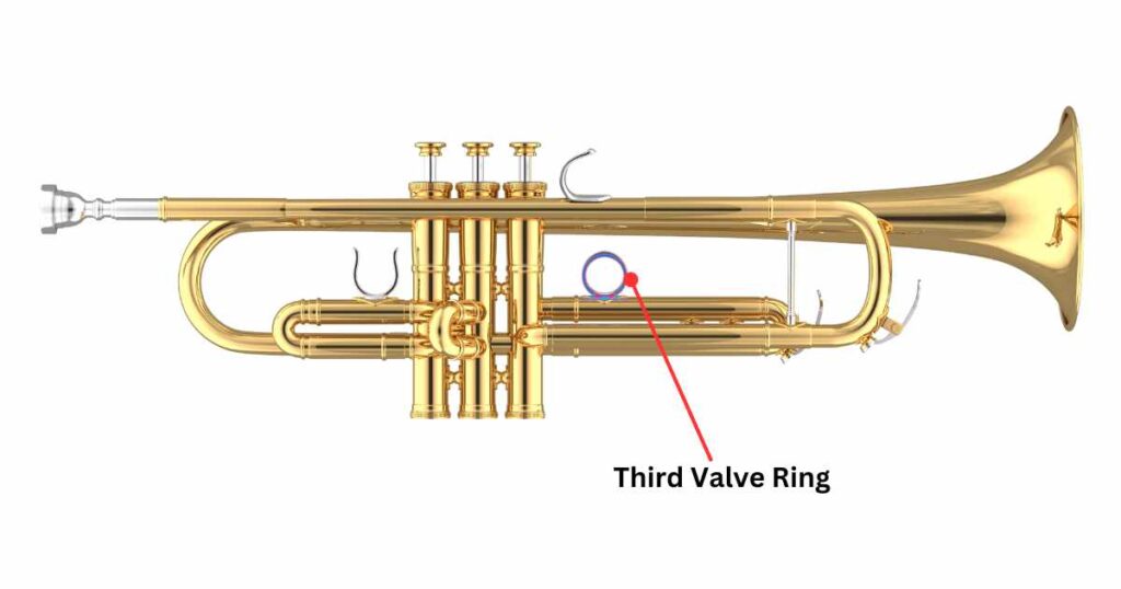 Third Valve Ring