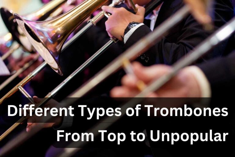13 Different Types of Trombones: From Top to Unpopular 🎺