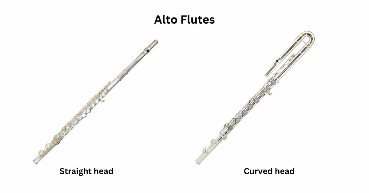 Ultimate Guide to 15 Types of Flutes Best Pictures and Video