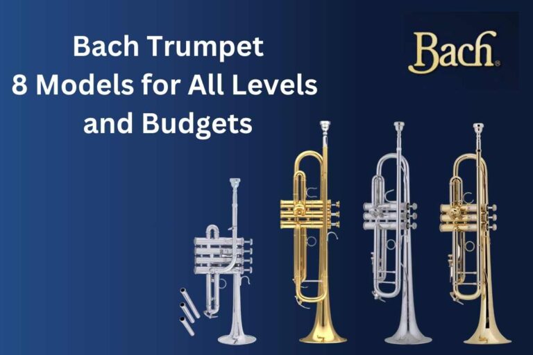 Best Bach Trumpet: 8 Models for All Levels and Budgets in 2023