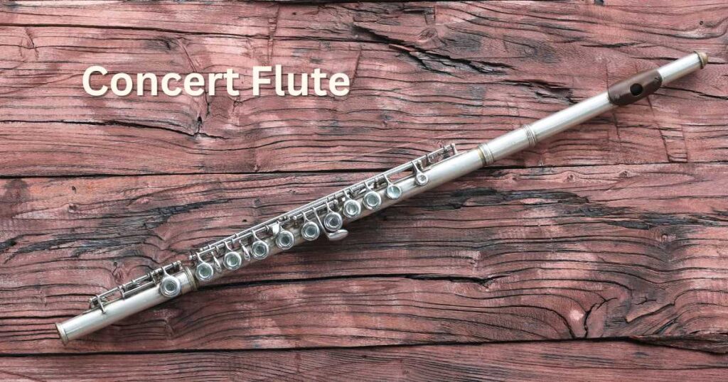 Concert Flute