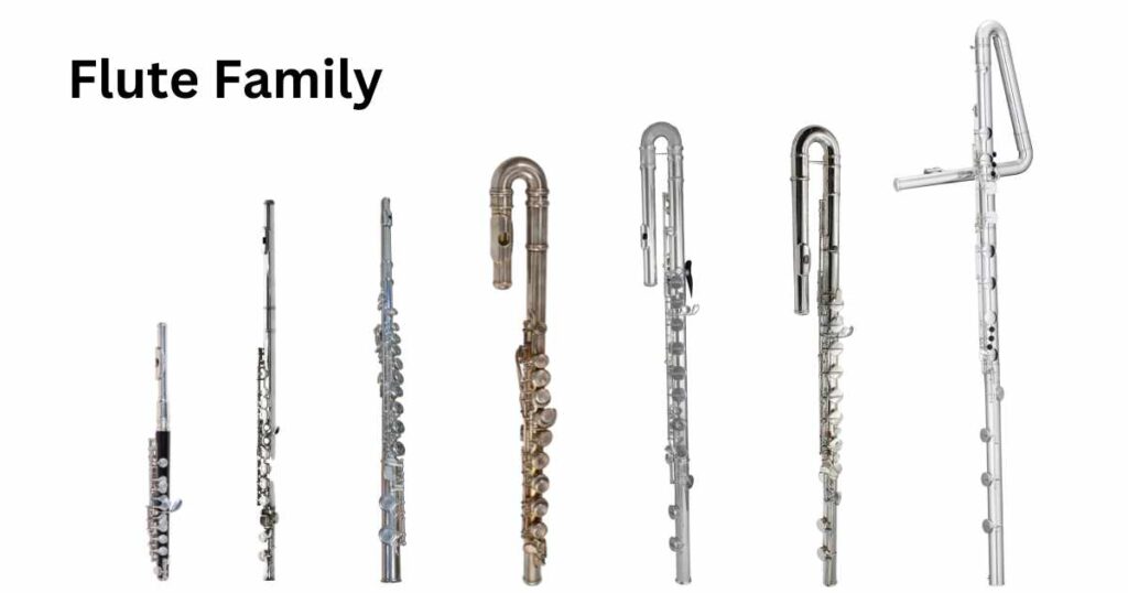 Flute Family