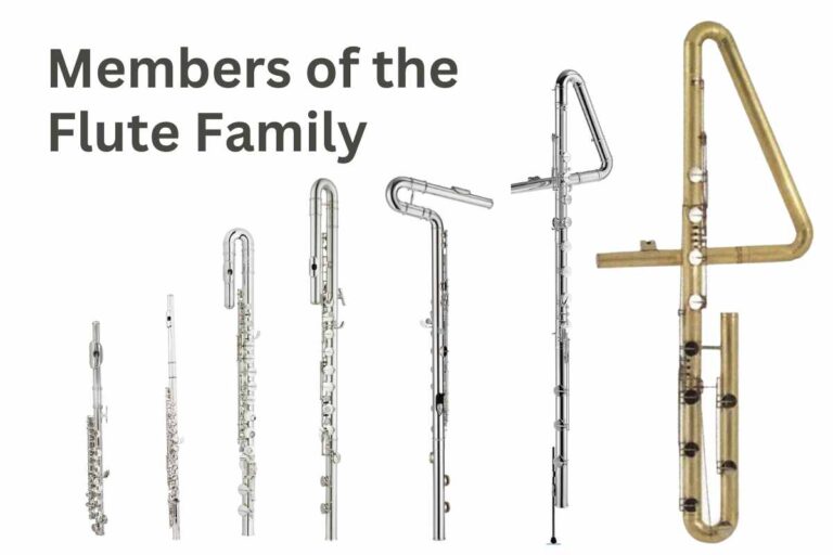 10 Members of the Flute Family: List With Photo, Video, Prices