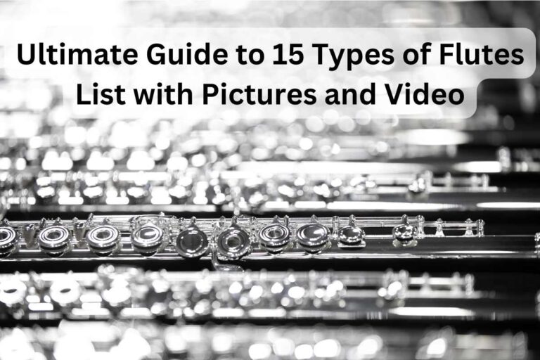 Ultimate Guide to 15 Types of Flutes: Best Pictures and Video