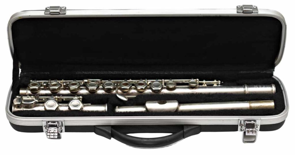 Store your flute Safely Within its Case