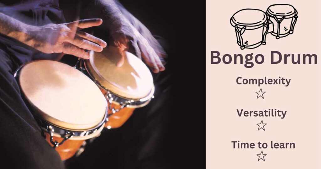 Bongo Drum 