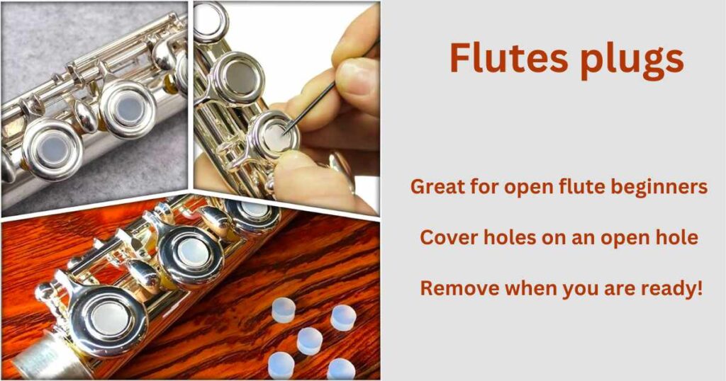 Flutes plugs