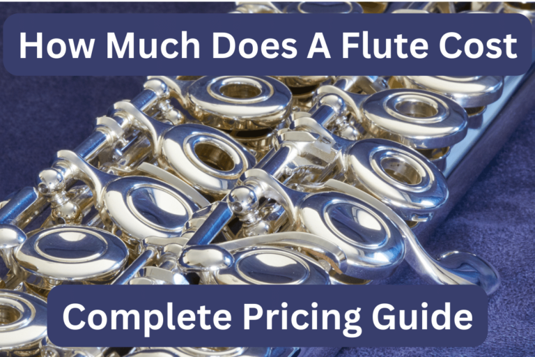 How Much Does A Flute Cost in 2024: Read Before A Purchase
