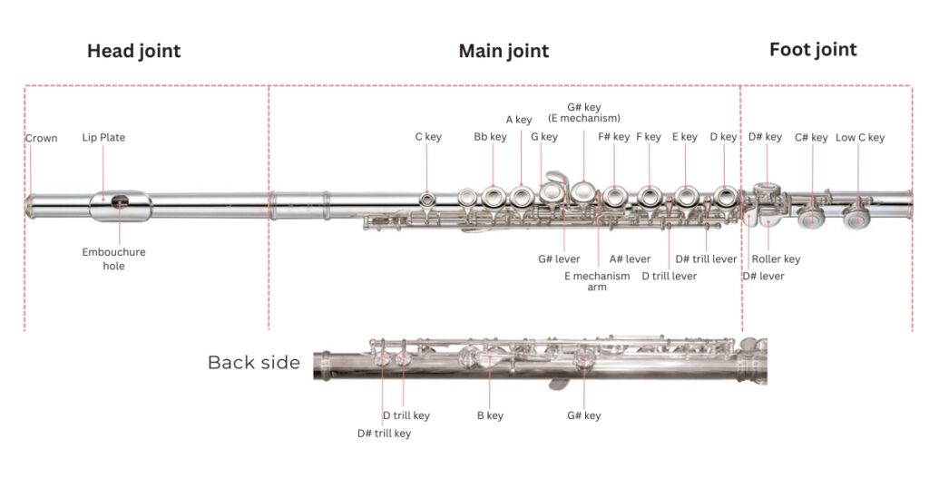 What Is Western Concert Flute