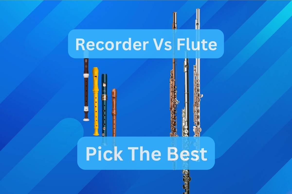 Recorder Vs Flute