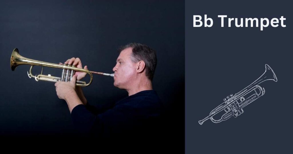 Bb Trumpet