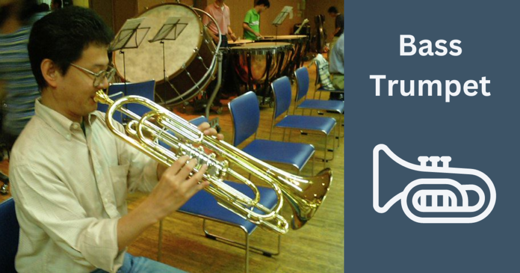 Bass Trumpet — Rare Types of Trumpets