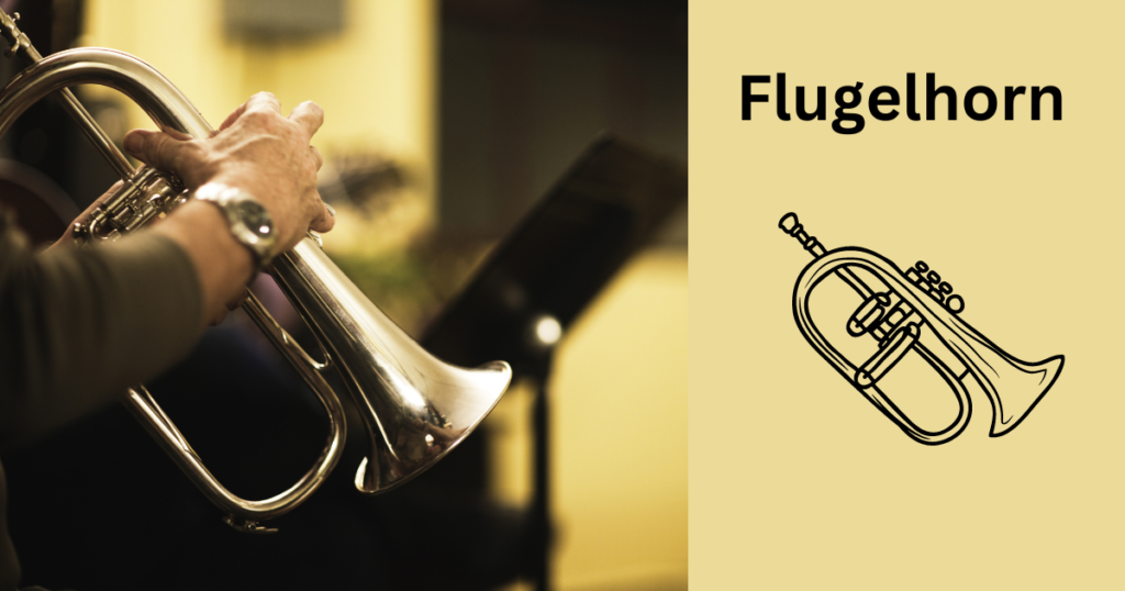 Flugelhorn For Mellow Tone