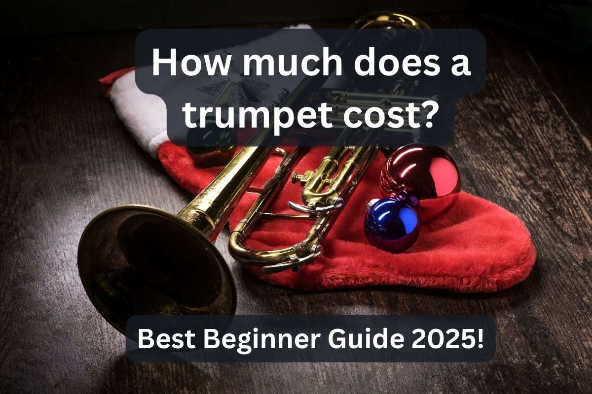 How much does a trumpet cost?