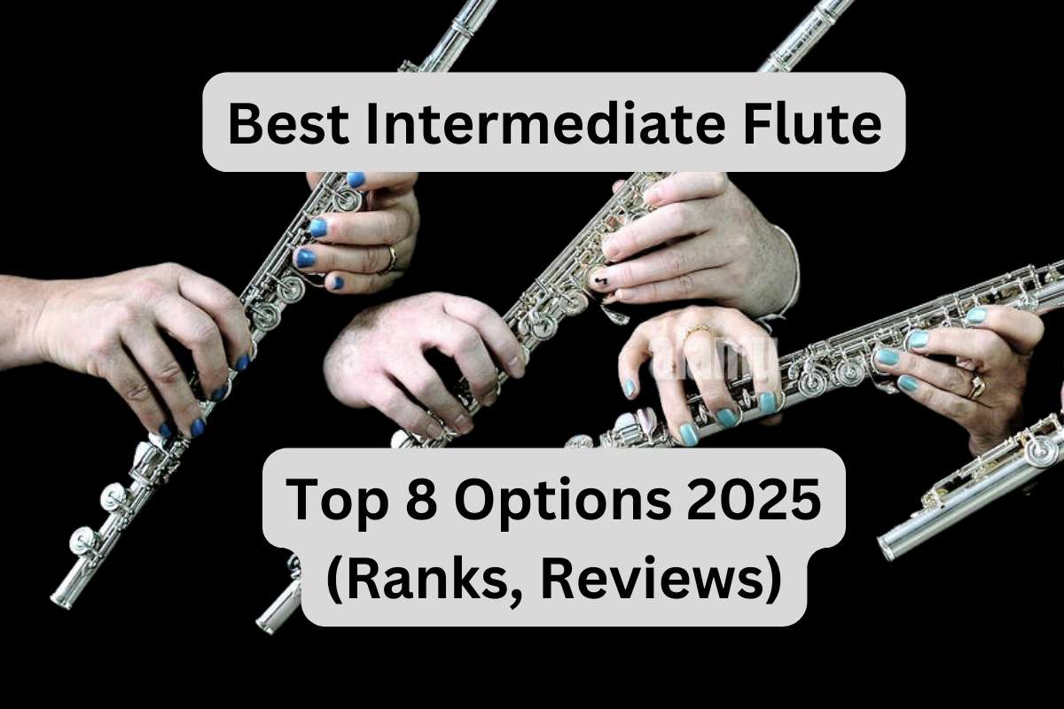 Best Intermediate Flute