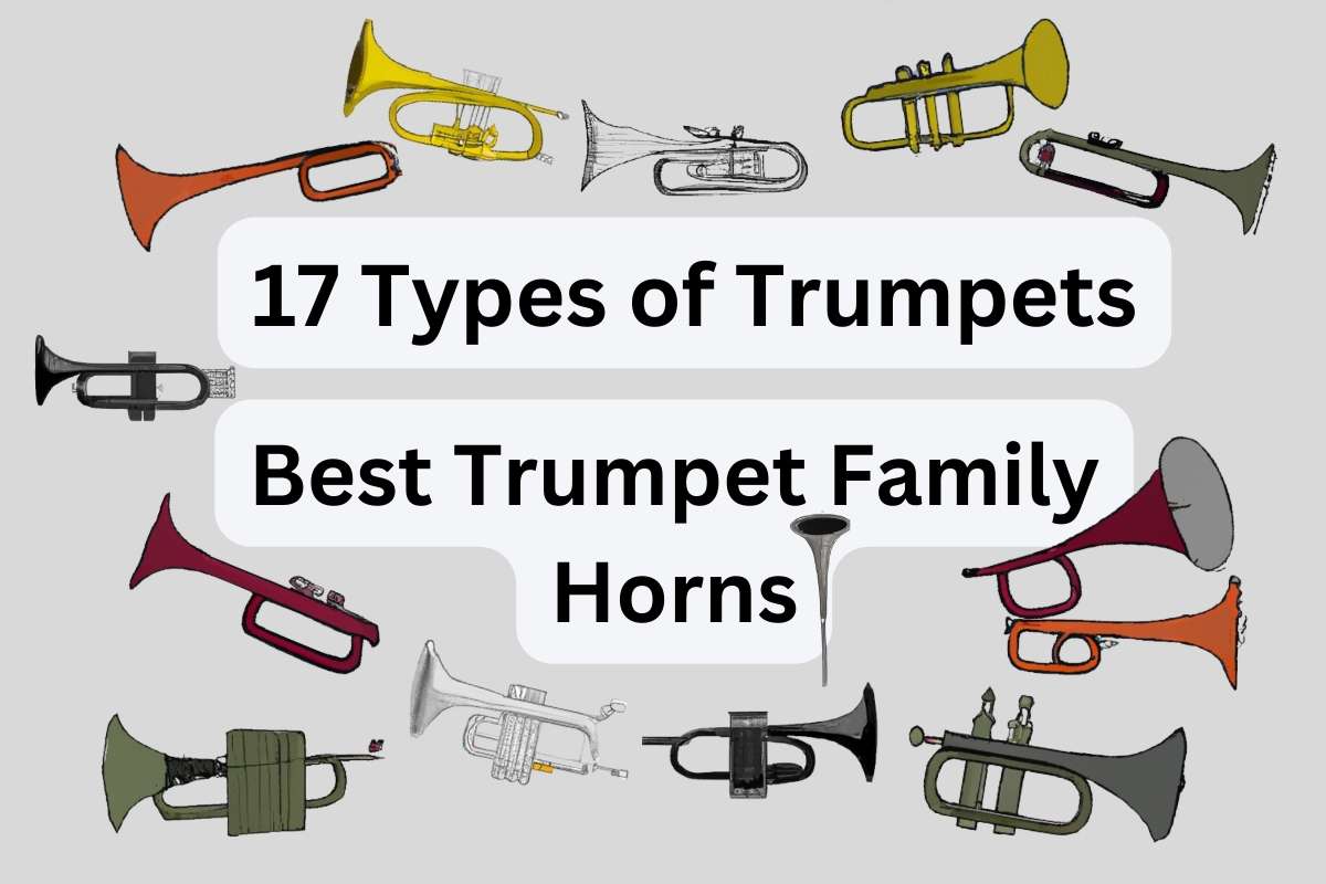 types of trumpets