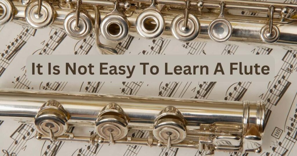 11 Flute Tips