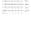 Trombone Glissando