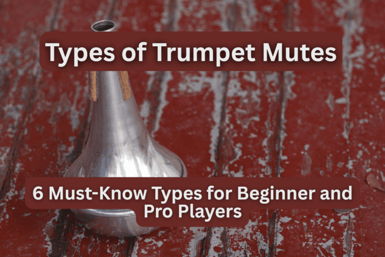 trumpet mute types